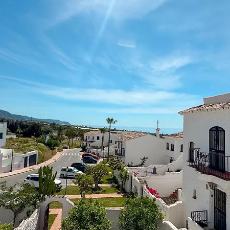 Crisantemos Nerja